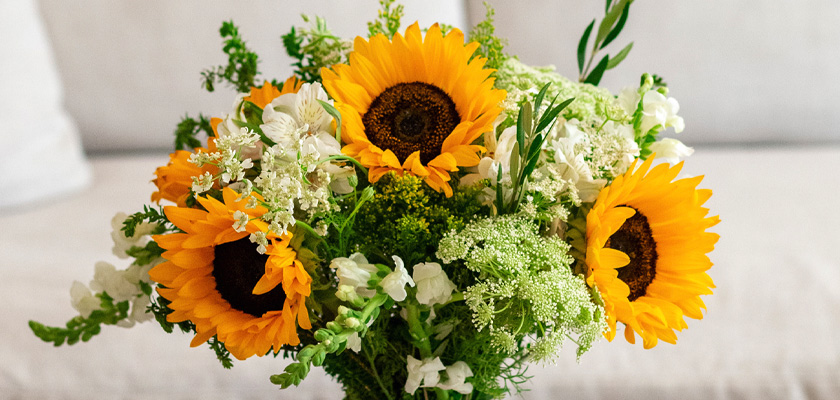 Vibrant sunflower bouquet paired with delicate white flowers, perfect for cheerful occasions.