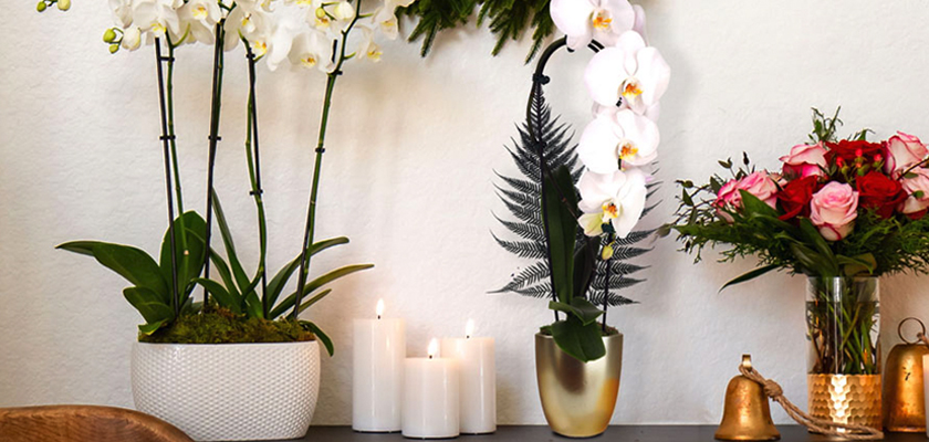 Elegant arrangement of white orchids and vibrant roses with candles, creating a serene ambiance.
