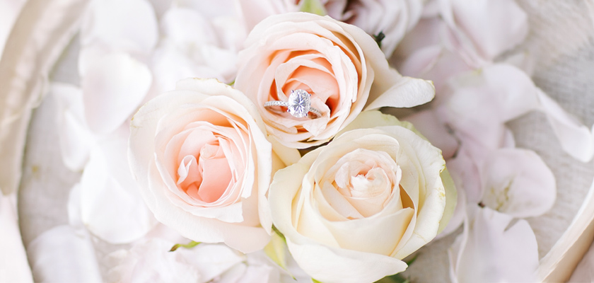 Delicate blush roses nestled among soft petals, featuring a sparkling engagement ring.