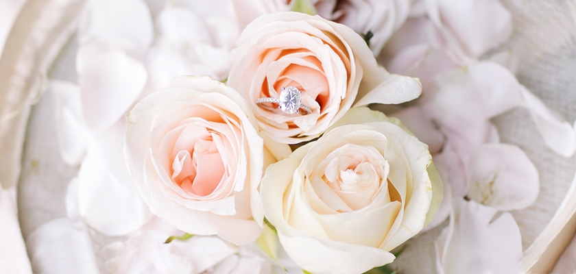 Delicate blush roses nestled among soft petals, featuring a sparkling engagement ring.