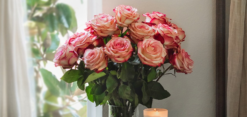 Delicate pink and cream roses in a chic vase, enhancing home decor and inviting warmth.