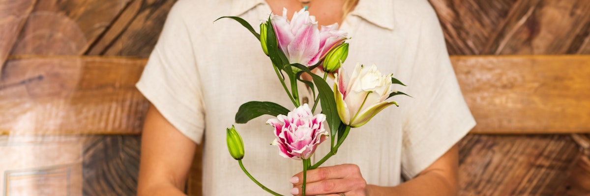 Delicate pink and white tulips held by a woman in a rustic setting, ideal for spring celebrations.