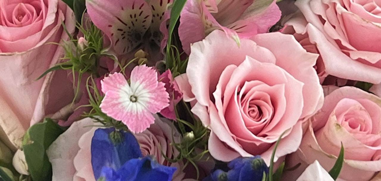 Delicate floral arrangement featuring soft pink roses, vibrant blue blooms, and lush green accents.