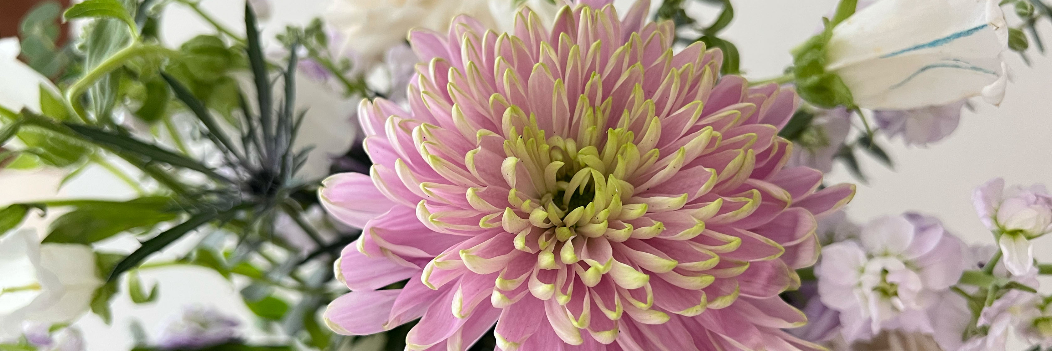 Vibrant pink chrysanthemum surrounded by delicate white and purple blooms in a floral arrangement.