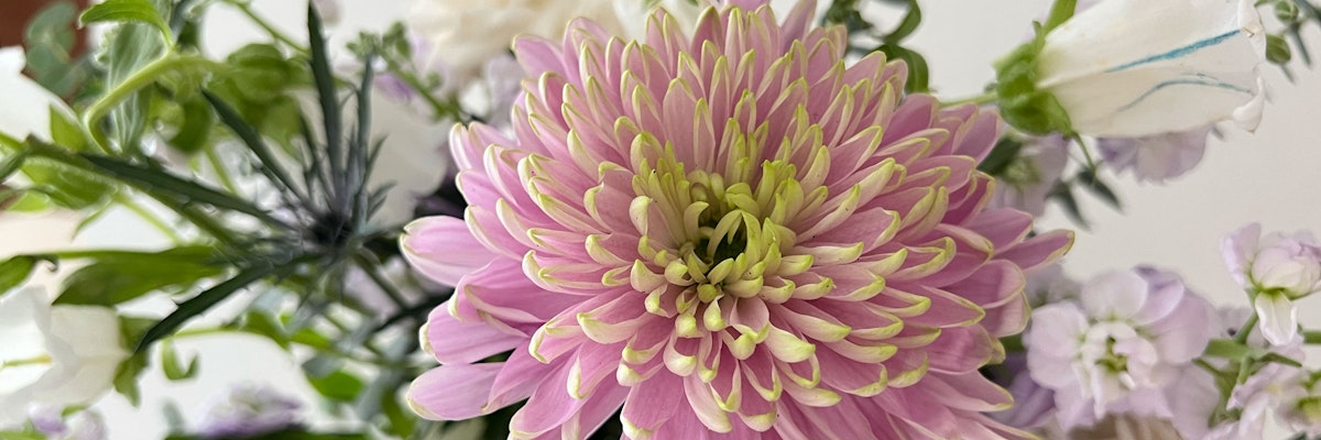 Vibrant pink chrysanthemum surrounded by delicate white and purple blooms in a floral arrangement.
