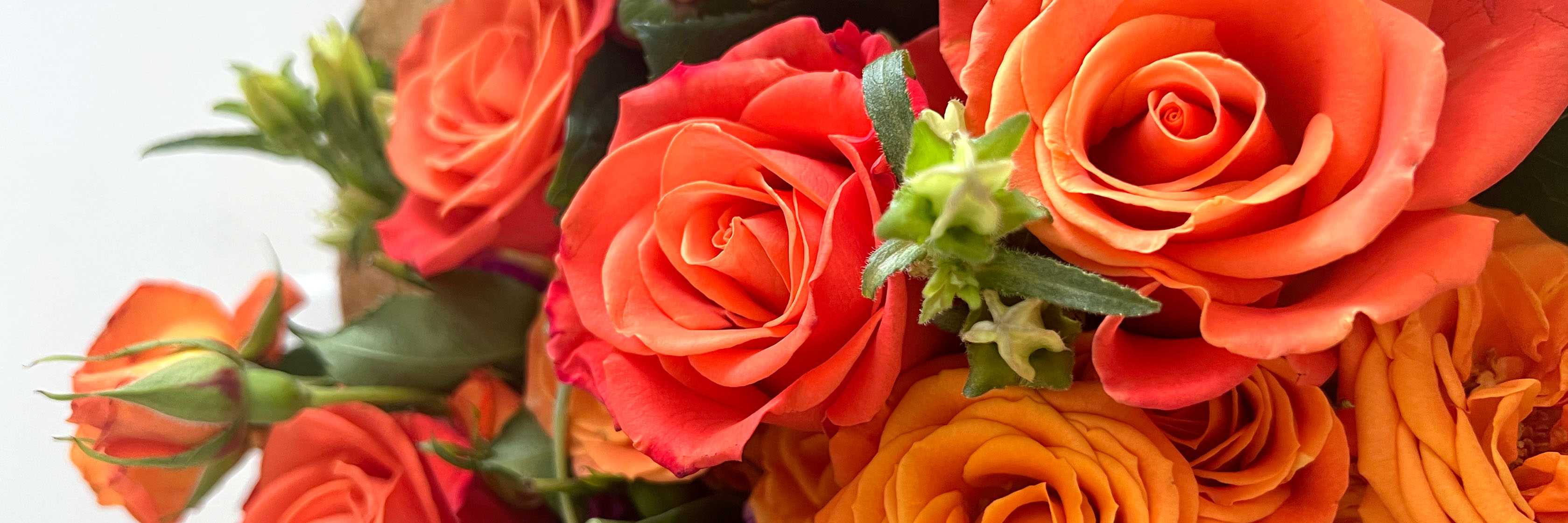 Vibrant bouquet featuring orange and yellow roses with lush greenery, perfect for celebrations.