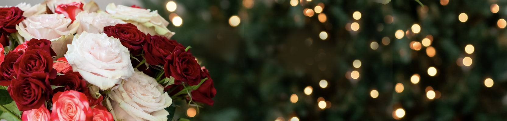 Elegant bouquet of red and white roses with twinkling fairy lights in the background.