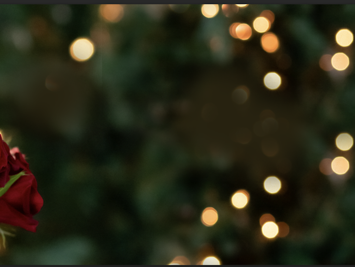 Elegant red roses in a romantic setting, softly illuminated by twinkling lights.