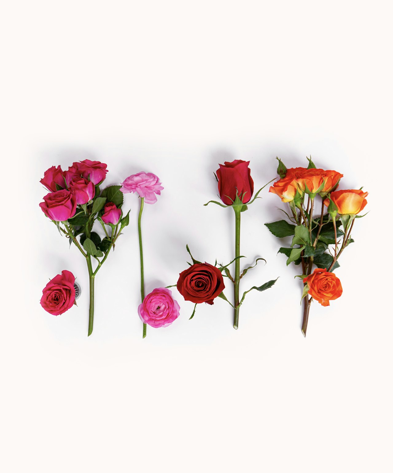 Freshly cut bright pink, soft pink, orange, and red roses laying on a white table.