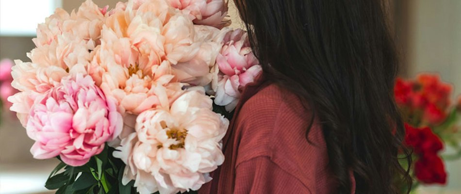 A person holding a lush bouquet of pink peonies, showcasing their soft petals and vibrant colors.