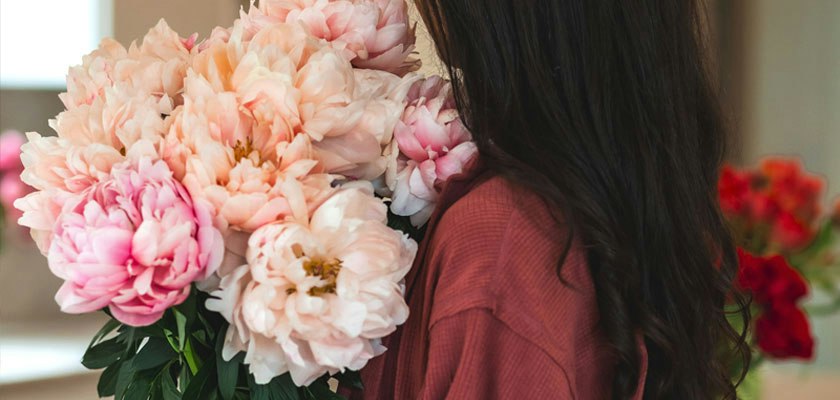 A person holding a lush bouquet of pink peonies, showcasing their soft petals and vibrant colors.