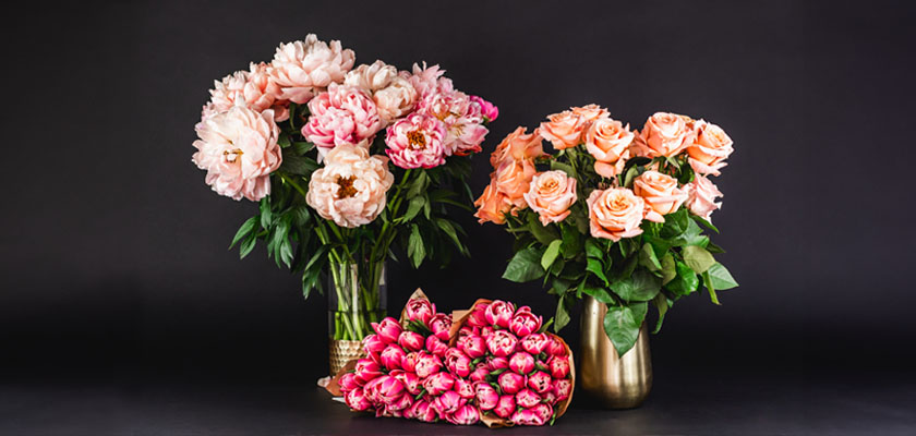 Vibrant floral display featuring pink peonies and peach roses in elegant vases.