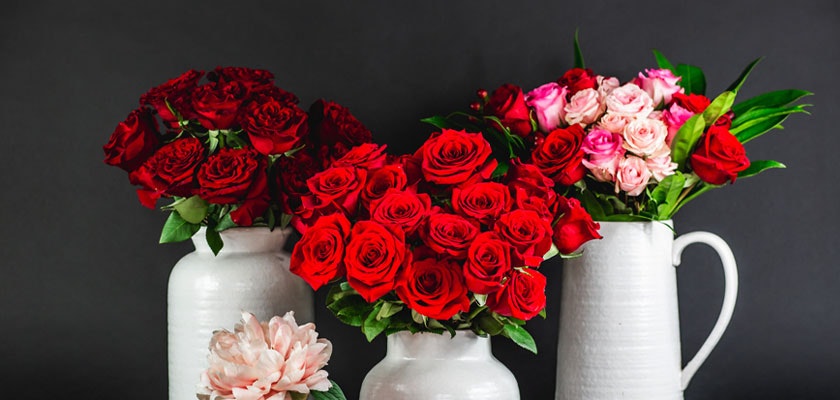 Vibrant arrangement of red and pink roses in elegant white vases against a dark backdrop.