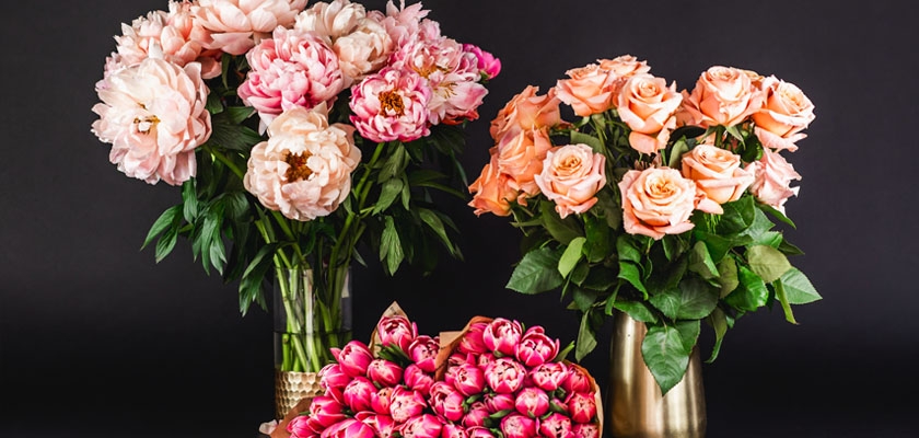 Elegant floral arrangement featuring peonies and blush roses in stylish vases.