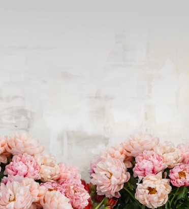 Soft pink peonies in a lush arrangement, perfect for adding elegance to any space or celebration.