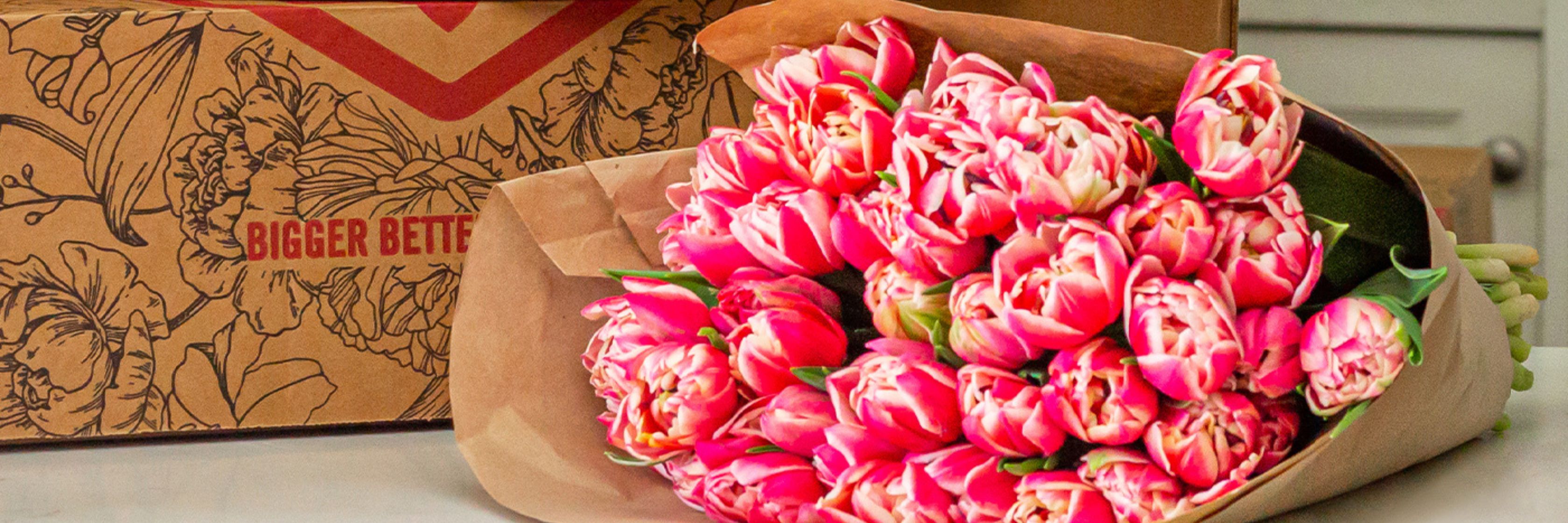Vibrant bouquet of pink tulips beautifully wrapped, ideal for gifting and home decor.