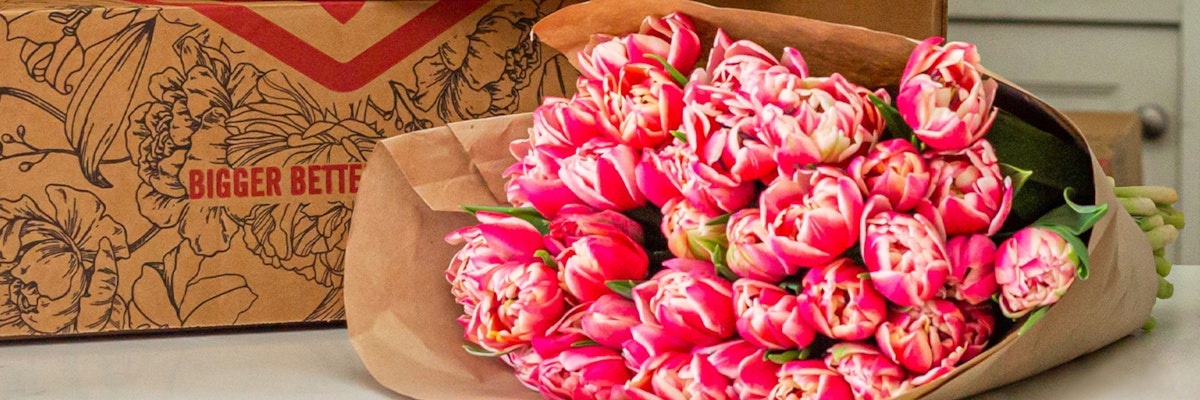 Vibrant bouquet of pink tulips beautifully wrapped, ideal for gifting and home decor.