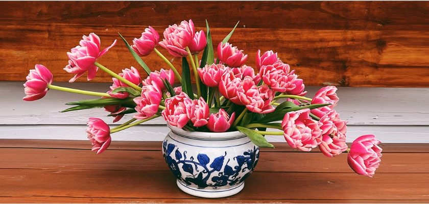 Vibrant pink tulips elegantly arranged in a classic blue and white vase, perfect for home decor.