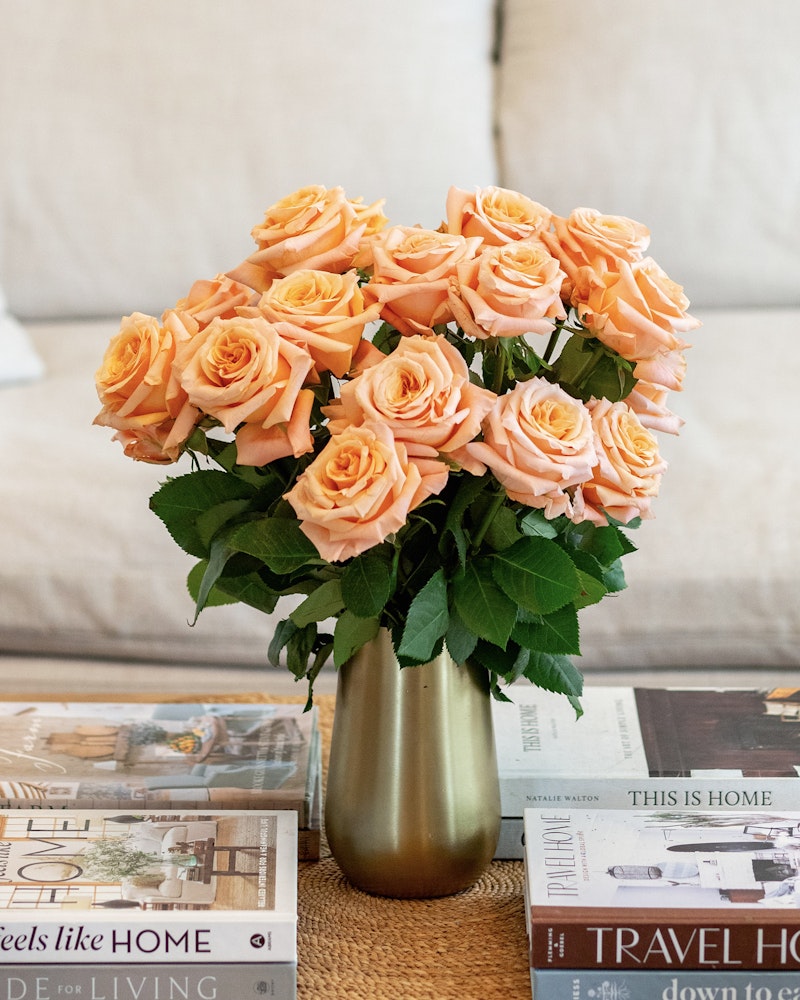 Shimmer Rose
