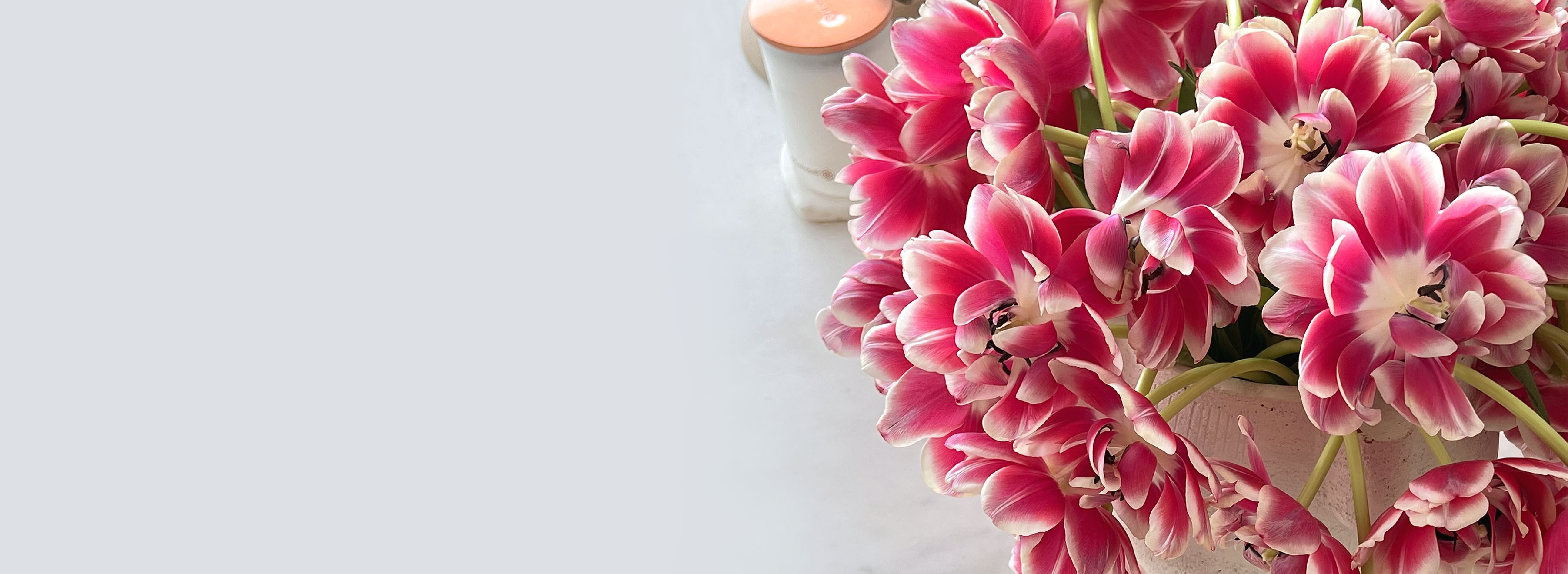 Vibrant pink and white tulips arranged elegantly in a stylish vase, ideal for cheerful decor.
