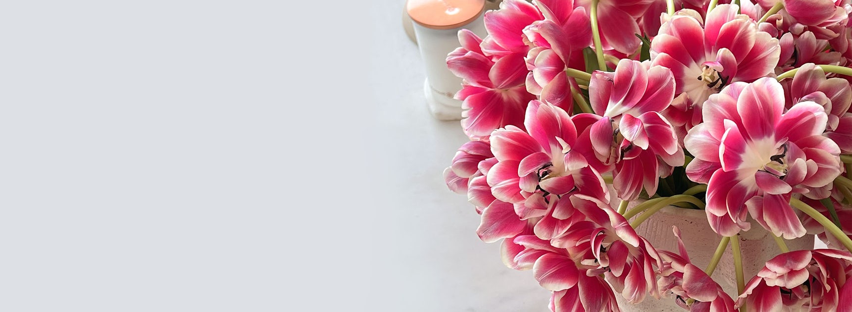 Vibrant pink and white tulips arranged elegantly in a stylish vase, ideal for cheerful decor.