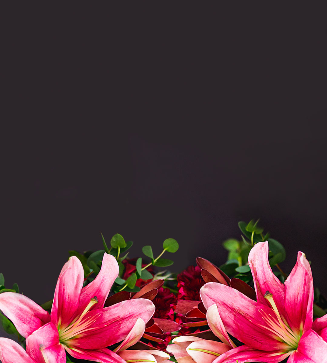 Vibrant pink lilies surrounded by lush greenery, creating an elegant floral display.