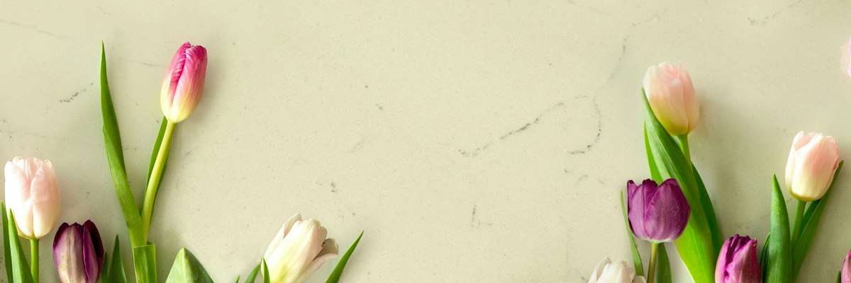 When and How to Plant Tulips for a Stunning Spring Garden
