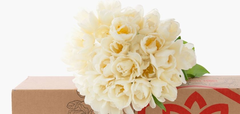 Elegant white flowers arranged in a lush bouquet atop a decorative gift box, ideal for gifts.