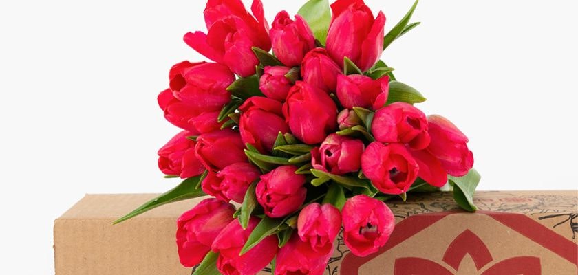 Vibrant pink tulip bouquet nestled atop a decorative gift box, perfect for any celebration.