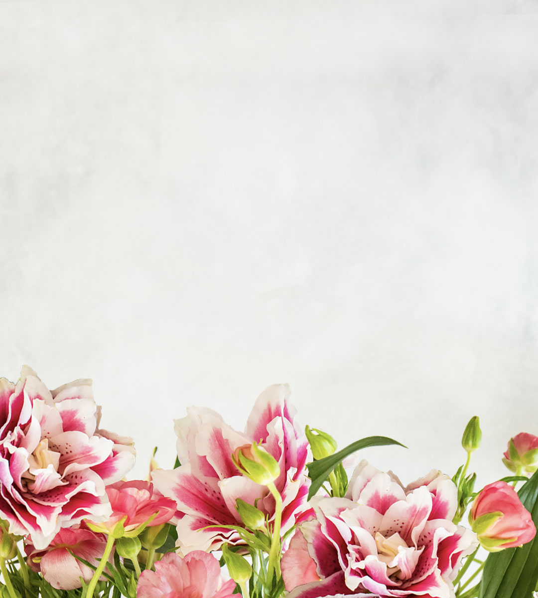 Elegant pink and white flowers arranged artfully, creating a fresh and vibrant floral display.