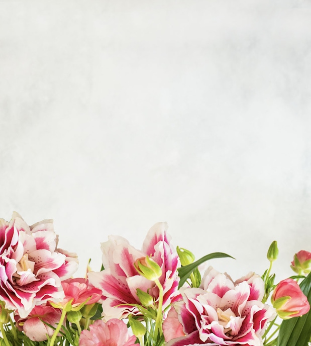 Elegant pink and white flowers arranged artfully, creating a fresh and vibrant floral display.
