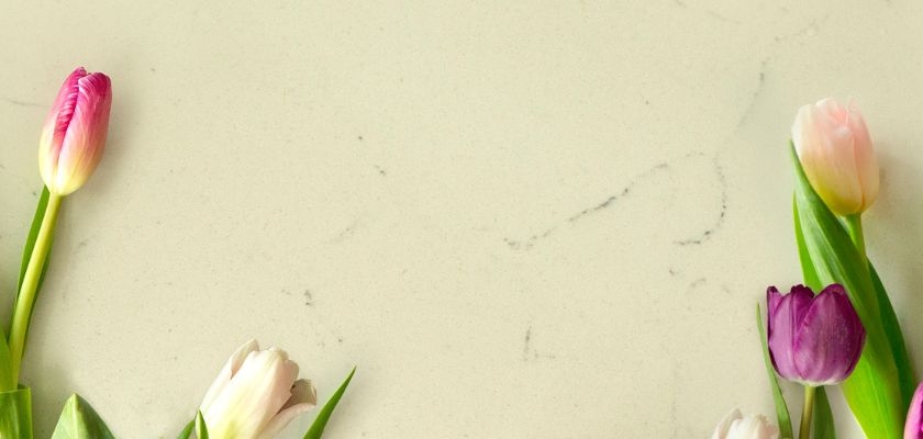 Vibrant tulips in shades of pink and purple artfully placed on a light marble surface.