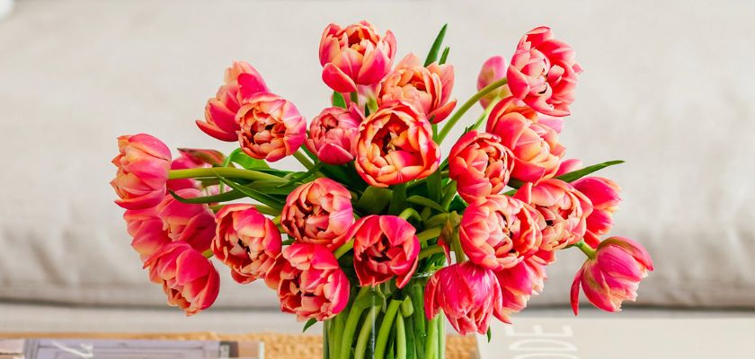 Vibrant bouquet of pink and coral tulips in a sleek vase, perfect for brightening up any space.