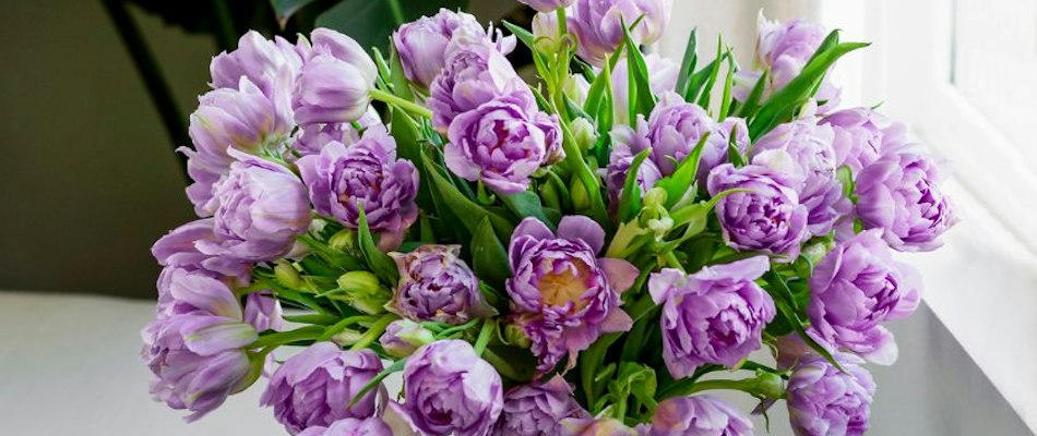 Lavender peony bouquet elegantly arranged with lush green foliage, perfect for any occasion.