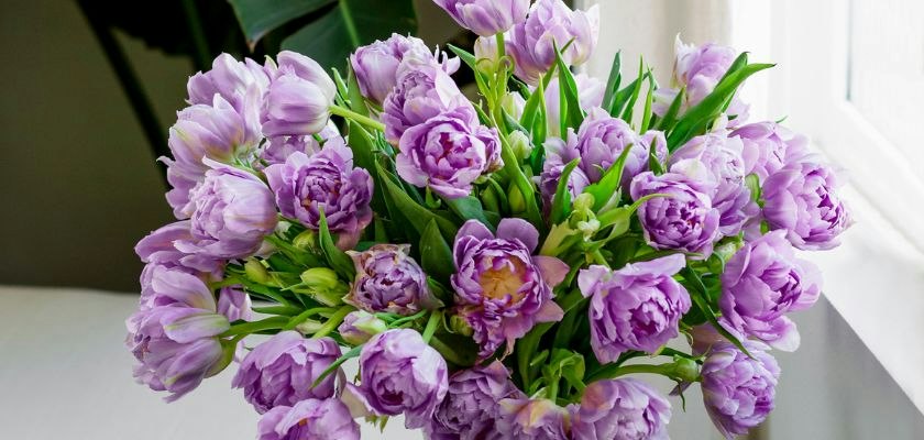 Lavender peony bouquet elegantly arranged with lush green foliage, perfect for any occasion.