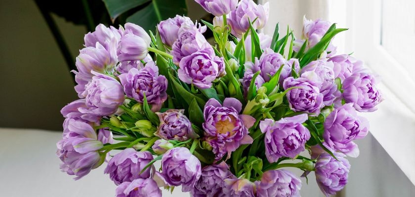 Lavender peony bouquet elegantly arranged with lush green foliage, perfect for any occasion.