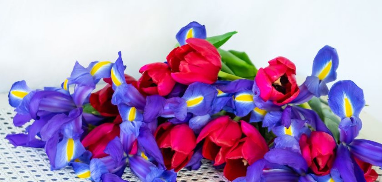 Vibrant floral arrangement featuring red tulips and blue irises, ideal for celebrations.