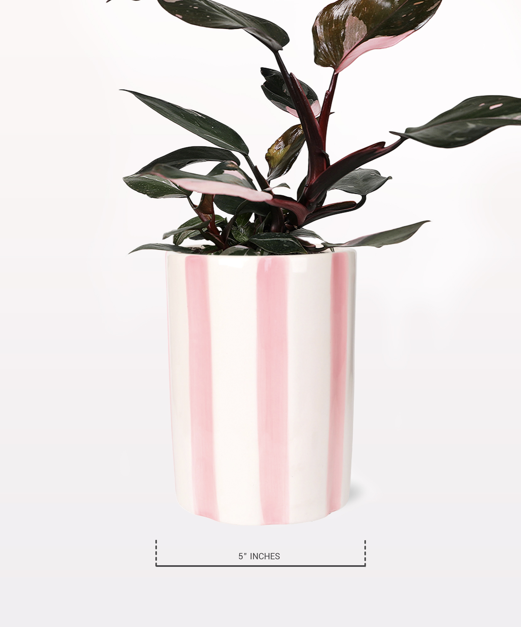 ferm plant box Ferm Living - Plant Box main image 0