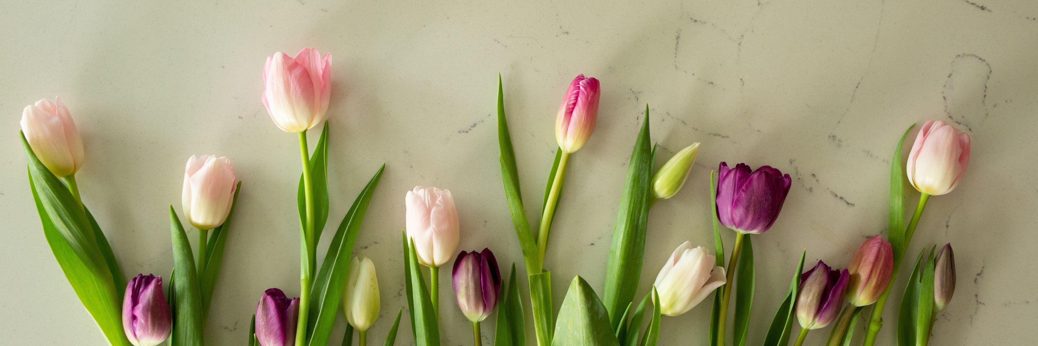 A vibrant mix of pink and purple tulips arranged elegantly on a light marble surface.