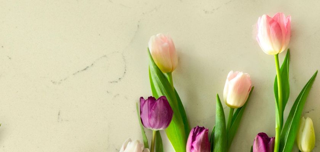 Elegant arrangement of pink and purple tulips on a soft beige surface, perfect for spring decor.