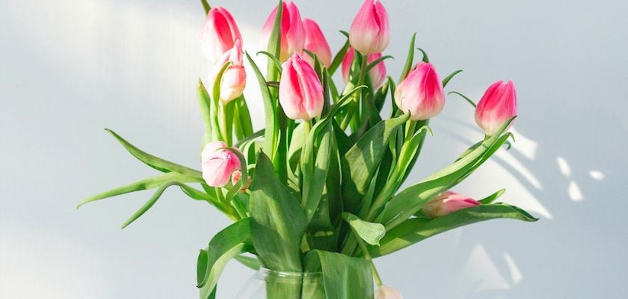 Fresh pink tulips with green leaves in a clear vase, ideal for brightening any space.