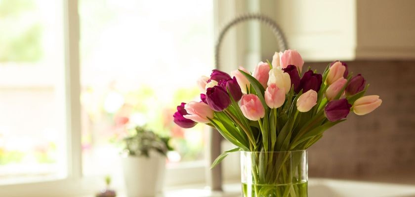 A vibrant bouquet of pink and purple tulips in a clear vase, brightening up a sunny kitchen.