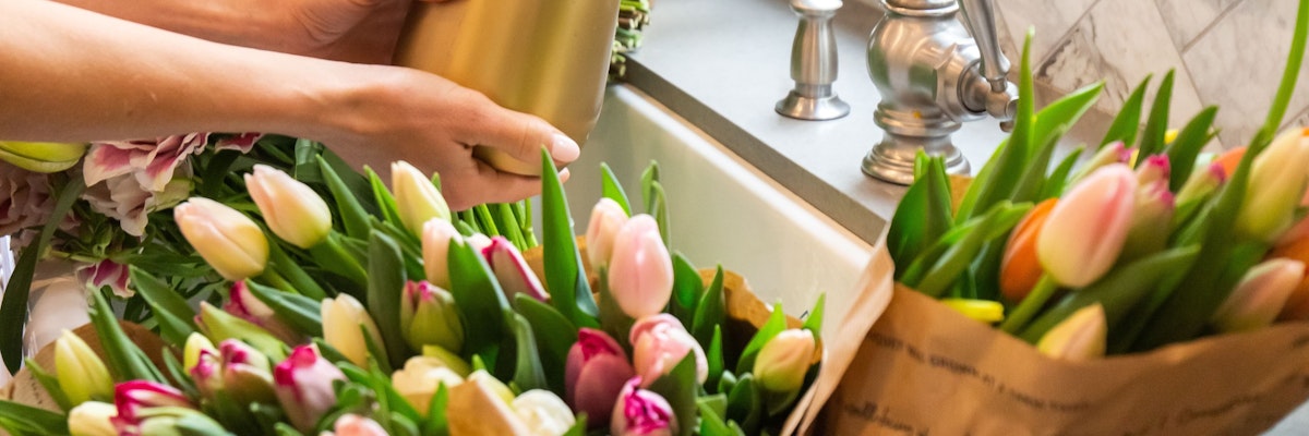 A vibrant assortment of tulips in soft pastels, preparing for a beautiful floral arrangement.