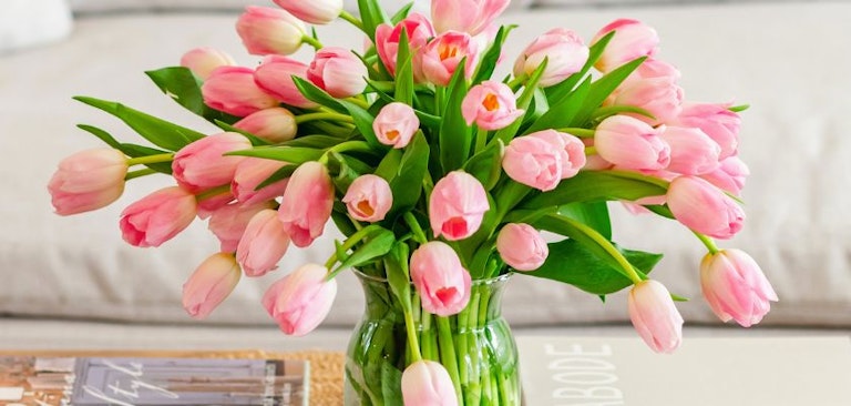 The Science Behind Tulip Colors