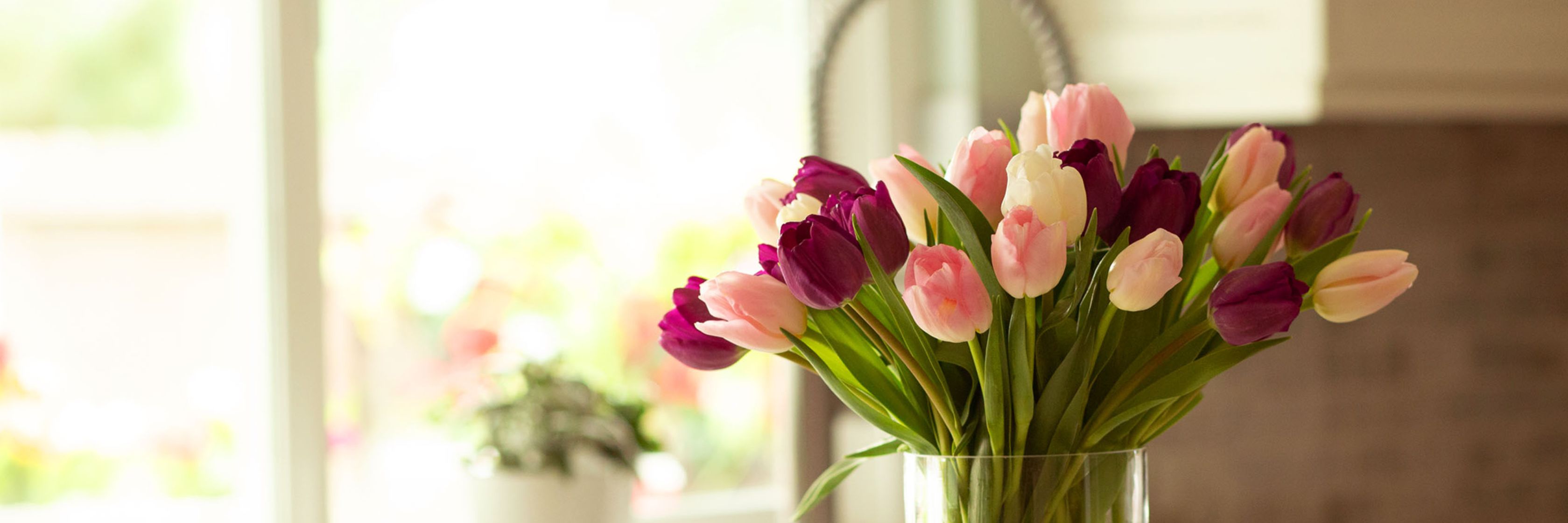 Vibrant tulip bouquet with shades of purple and pink in a clear vase, brightening a kitchen setting.