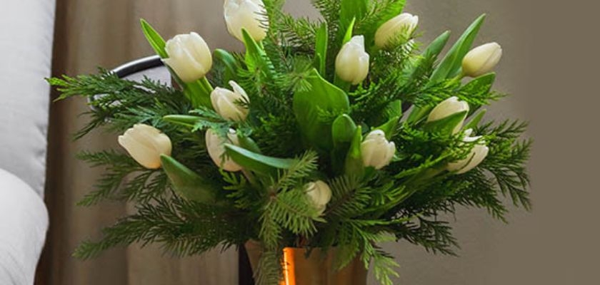 Elegant white tulip bouquet nestled among fresh green foliage, ideal for brightening any space.