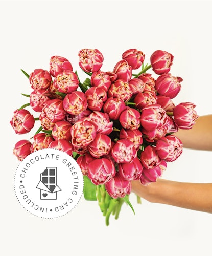 Vibrant bouquet of pink tulips held with care, perfect for celebrating any joyful occasion.