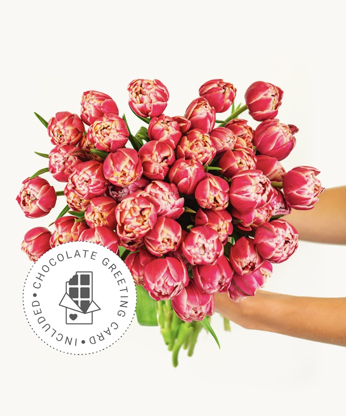 Vibrant bouquet of pink tulips held with care, perfect for celebrating any joyful occasion.