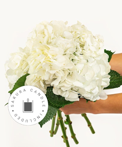 Elegant white hydrangea bouquet with lush green leaves, perfect for any occasion.