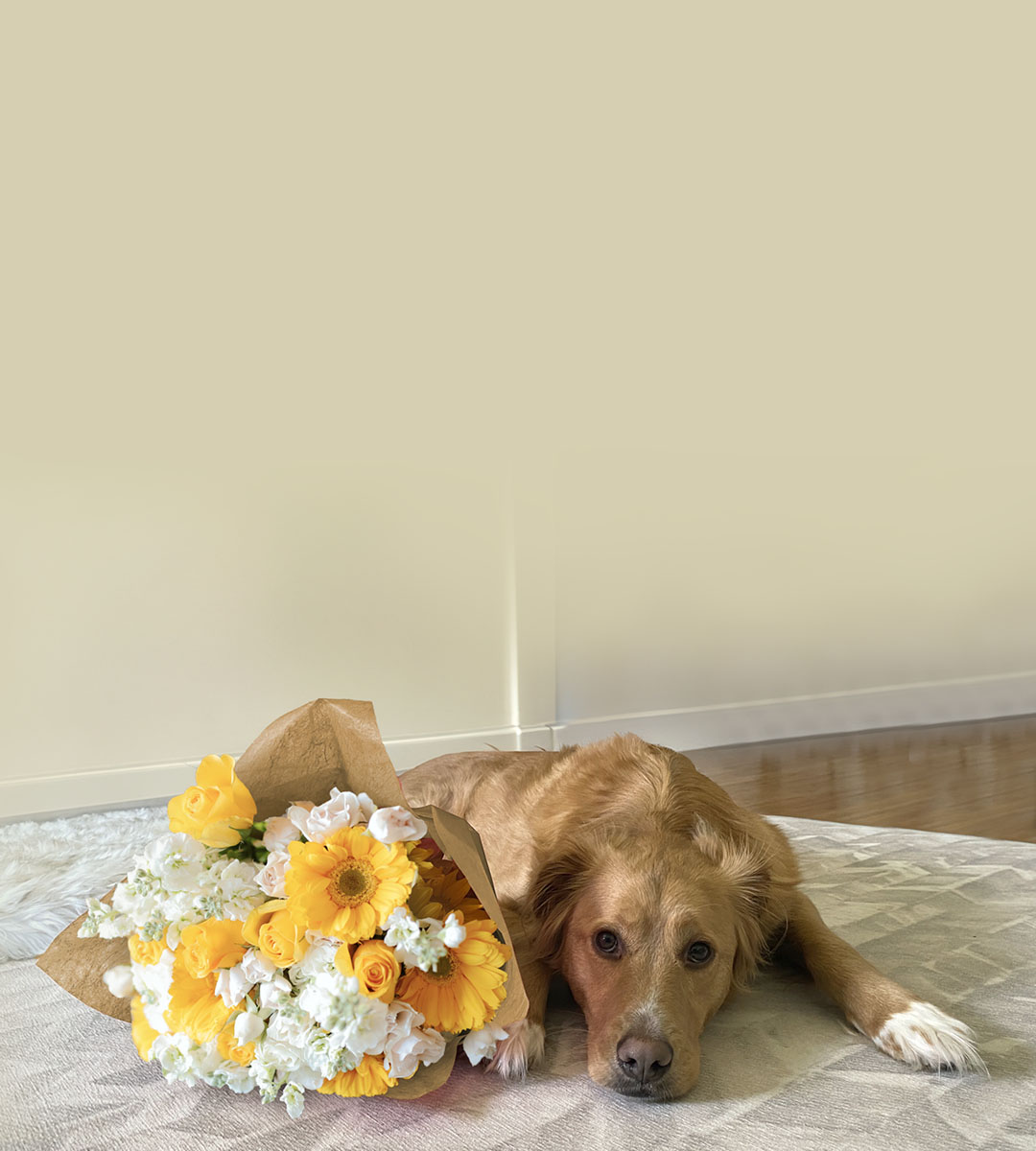 A golden retriever lying beside a vibrant bouquet of yellow and white flowers on a soft rug.